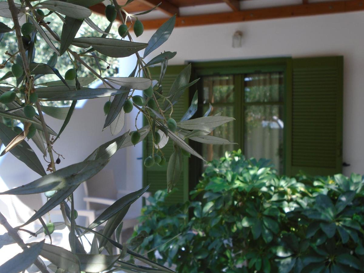Leros Eleonas Apartments Alinda  Bagian luar foto
