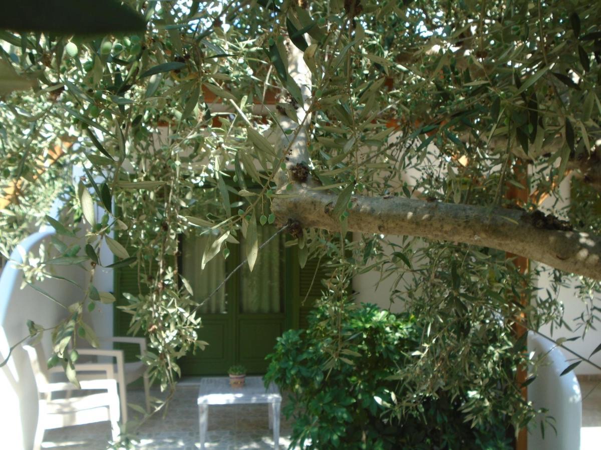 Leros Eleonas Apartments Alinda  Bagian luar foto
