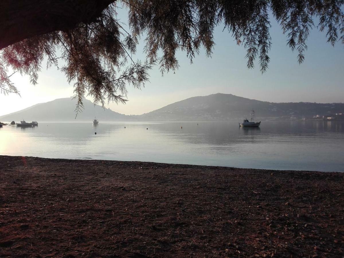 Leros Eleonas Apartments Alinda  Bagian luar foto