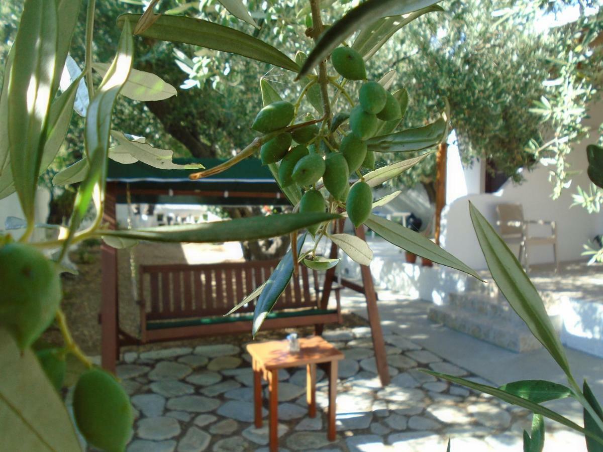 Leros Eleonas Apartments Alinda  Bagian luar foto