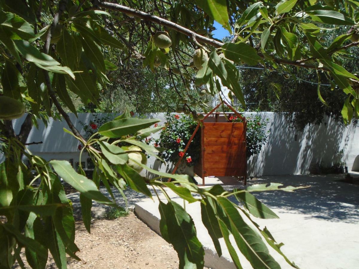 Leros Eleonas Apartments Alinda  Bagian luar foto